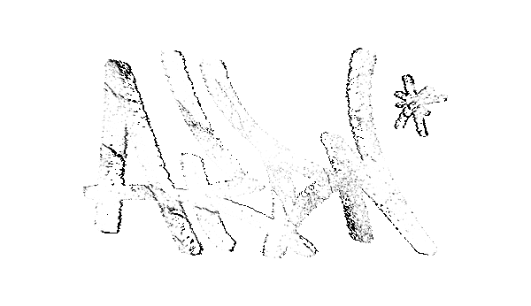 ARDN Store